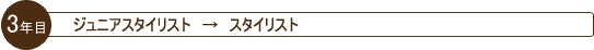 ３年目 ジュニアスタイリスト → スタイリスト