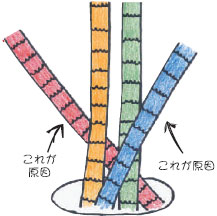 生えグセ　図解